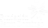 Fundación Santo Domingo